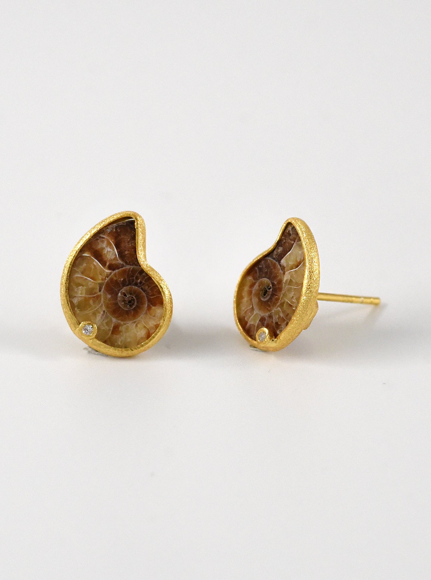 Ammonite With Diamond Stud