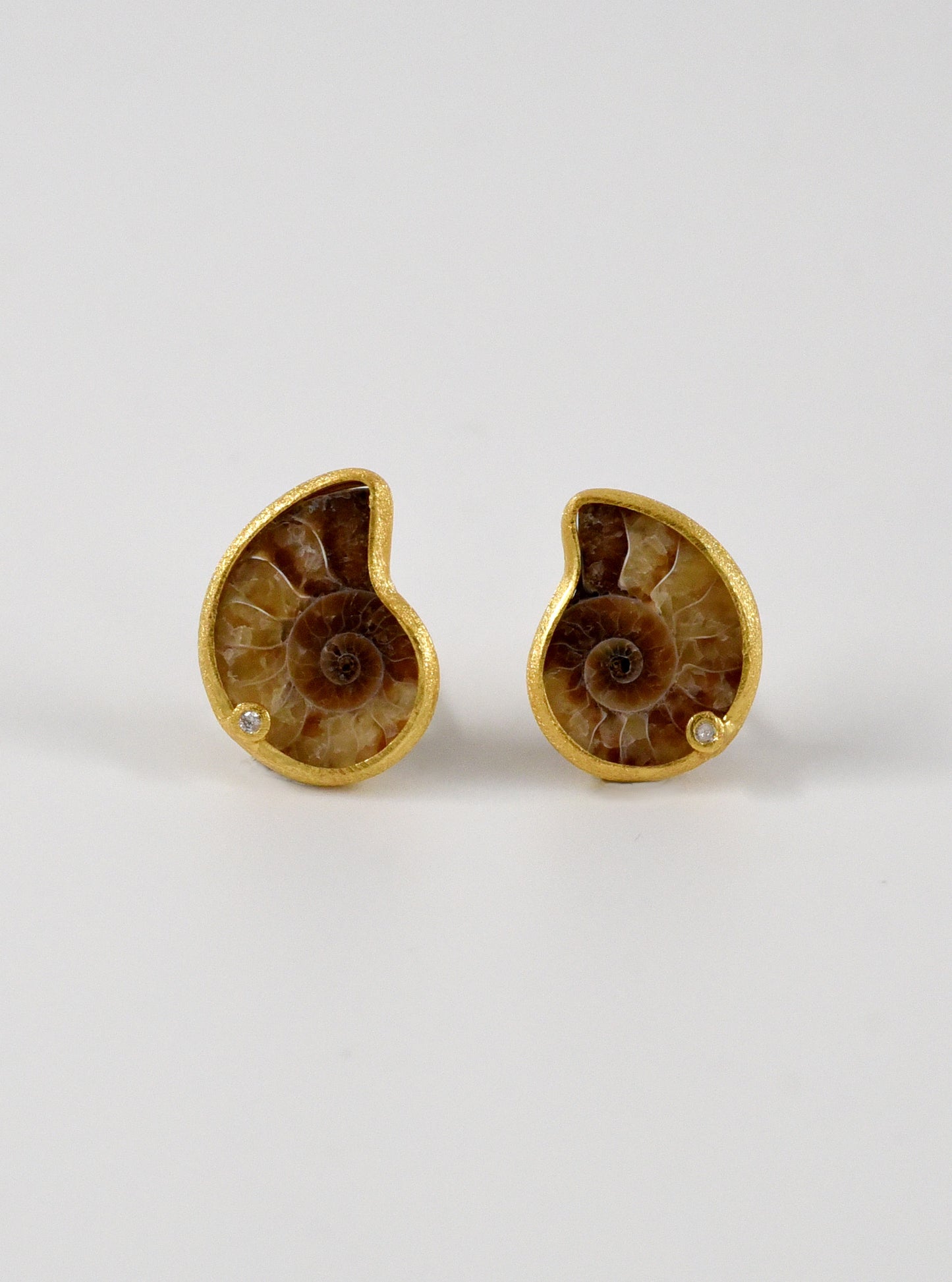 Ammonite With Diamond Stud