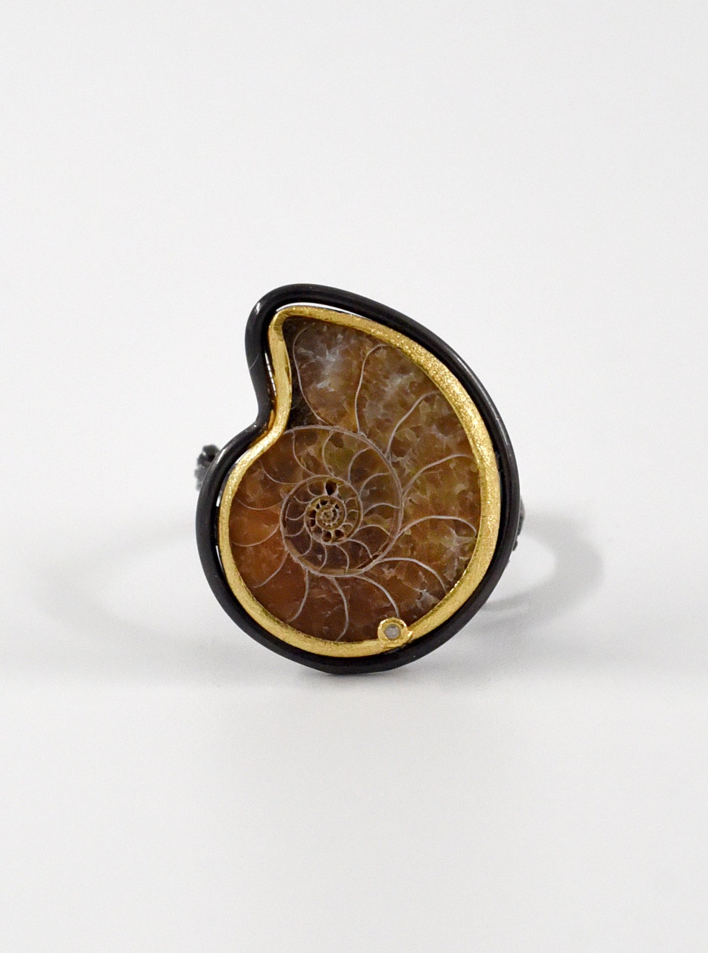 Ammonite with Diamond Adjustable Ring