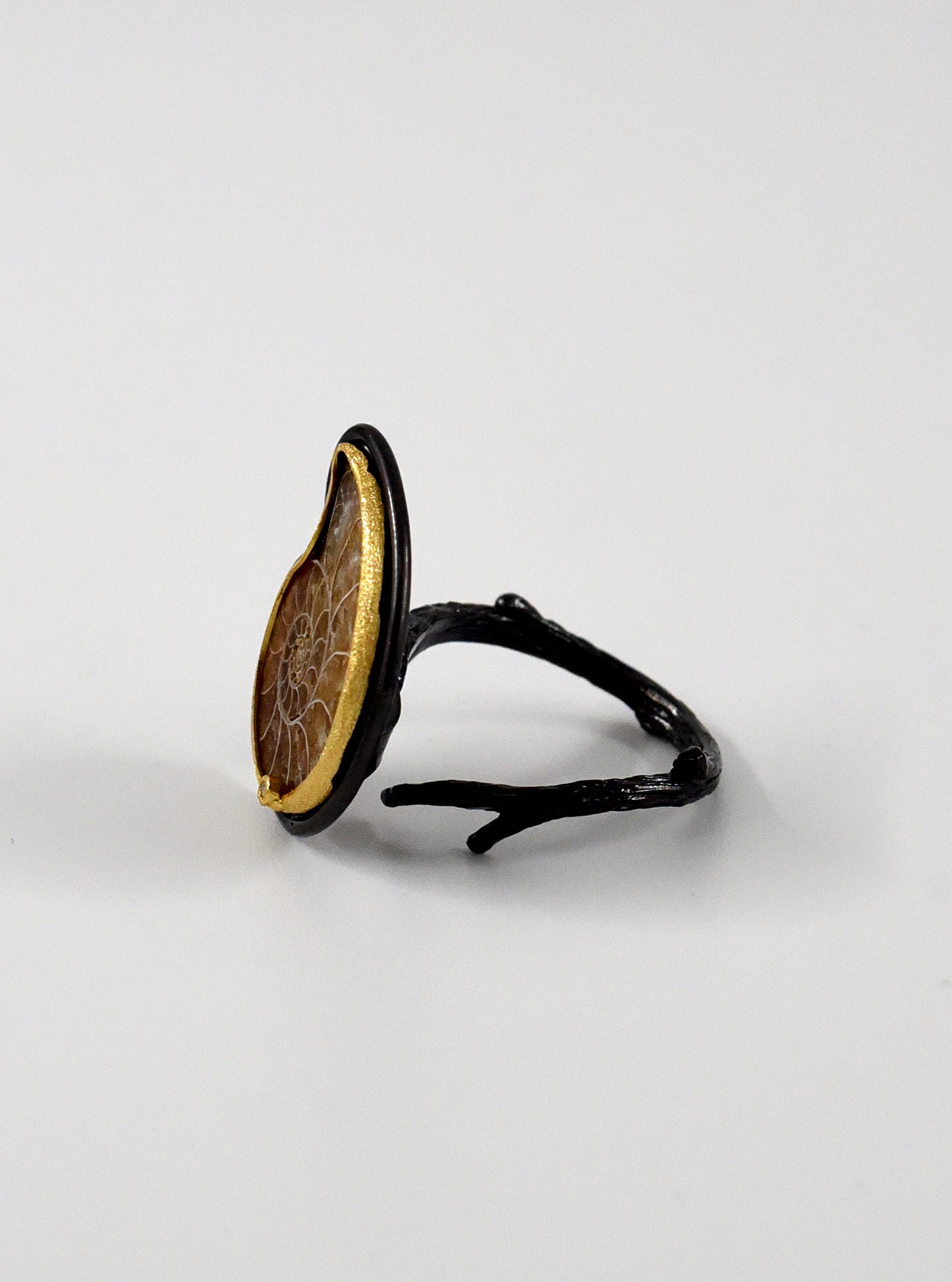 Ammonite with Diamond Adjustable Ring