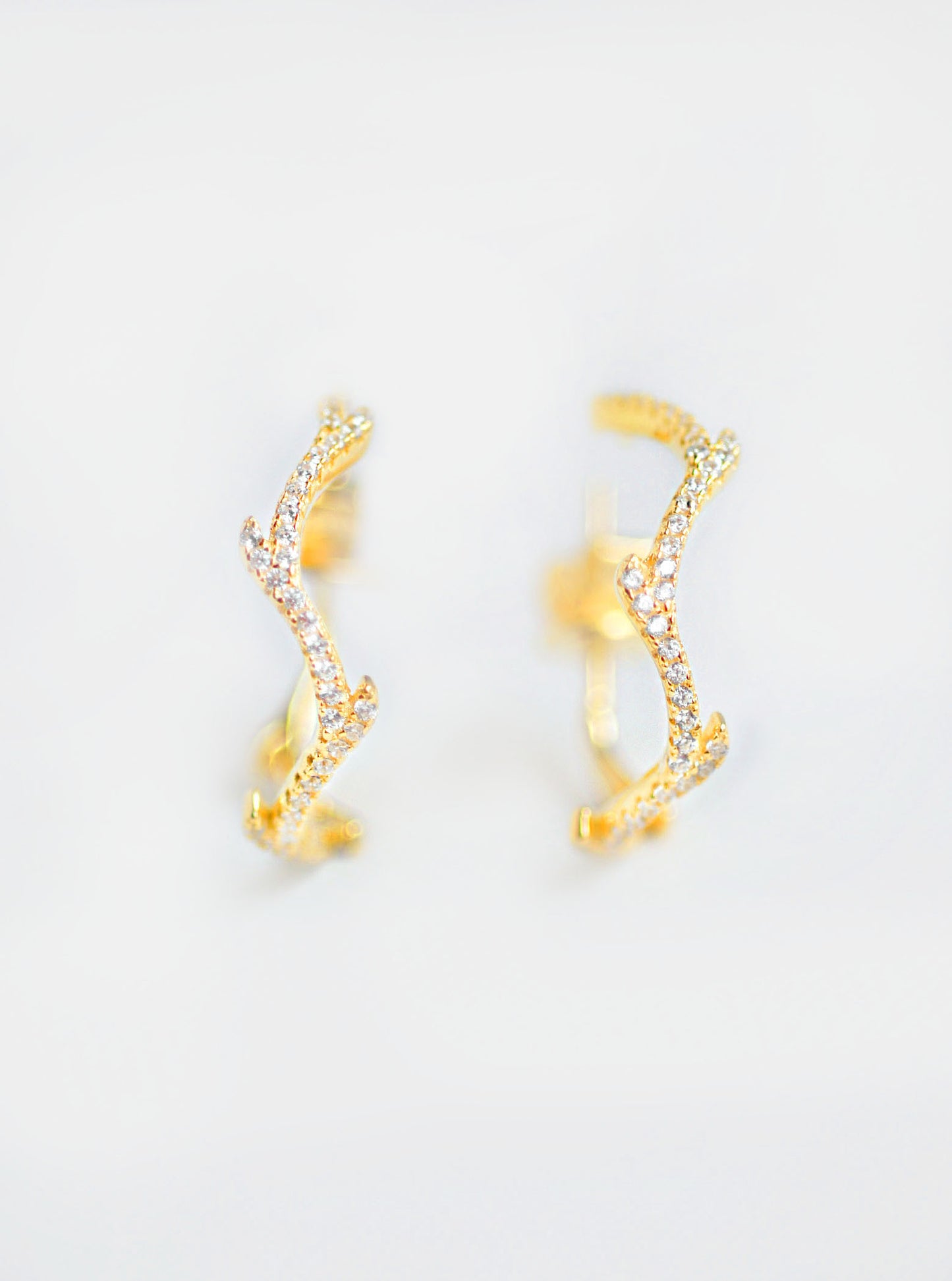 Olive Branch Hoop Earrings