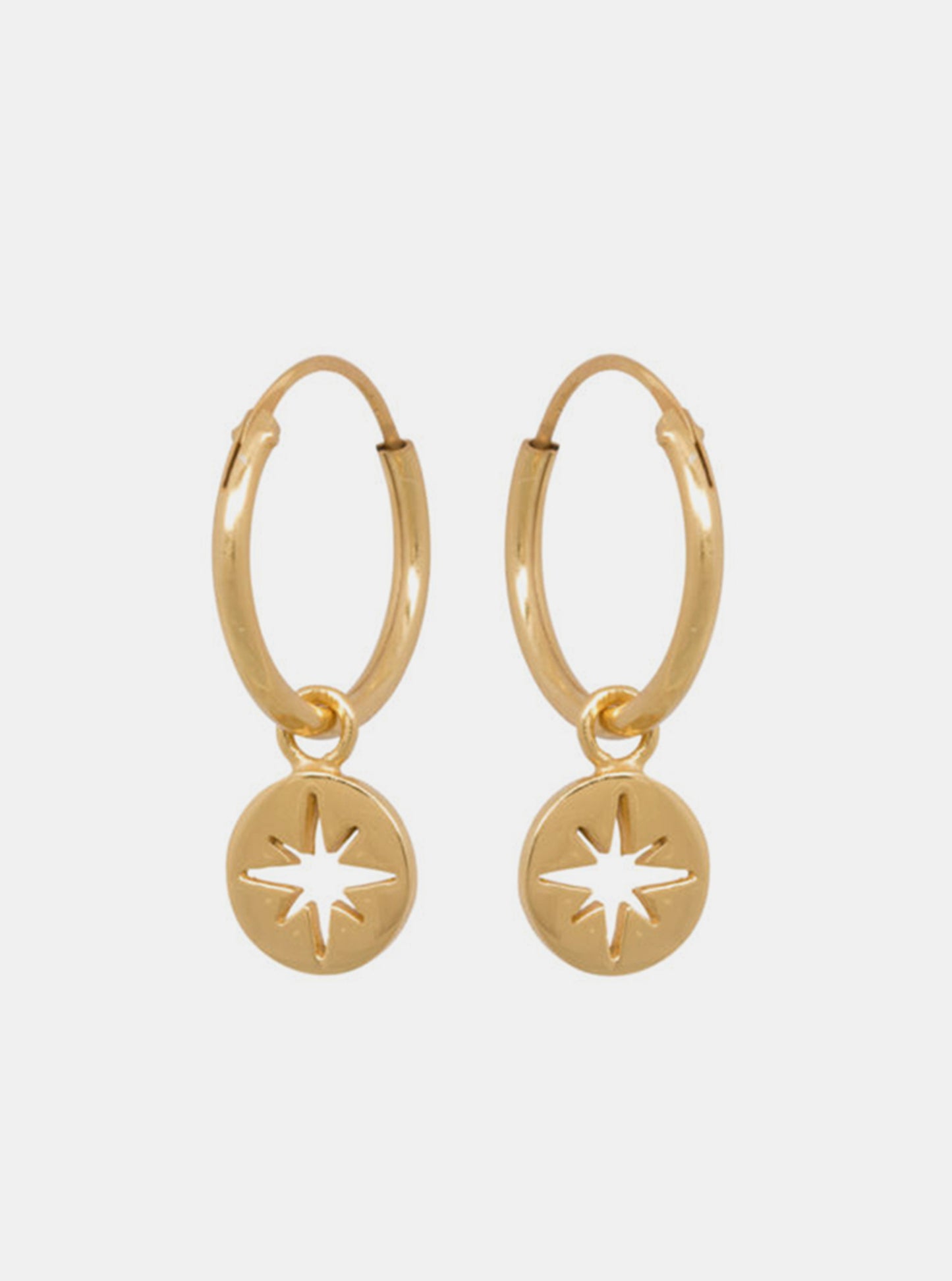 Polaris Coin Earrings