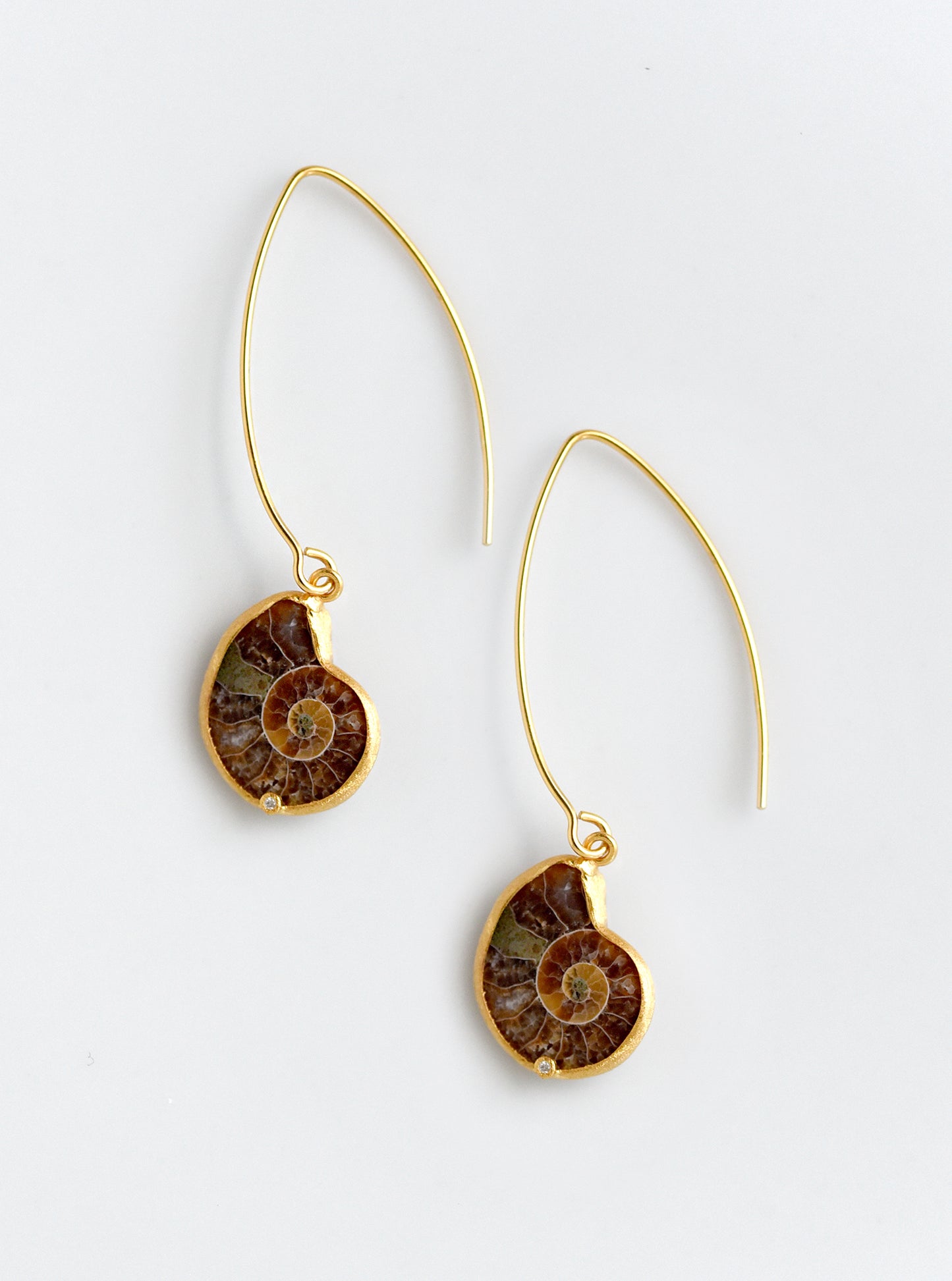 Ammonite With Diamond Long Hook Earring