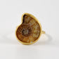 Ammonite with Diamond Adjustable Ring