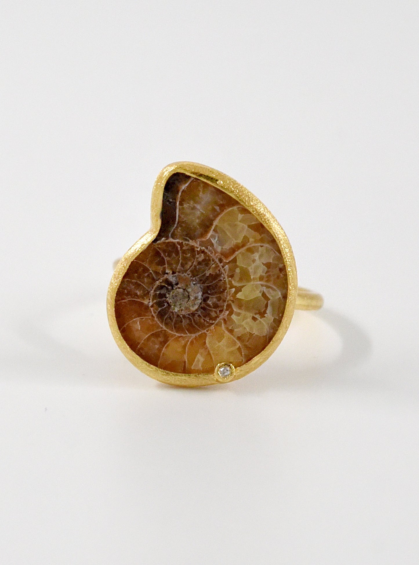 Ammonite with Diamond Adjustable Ring