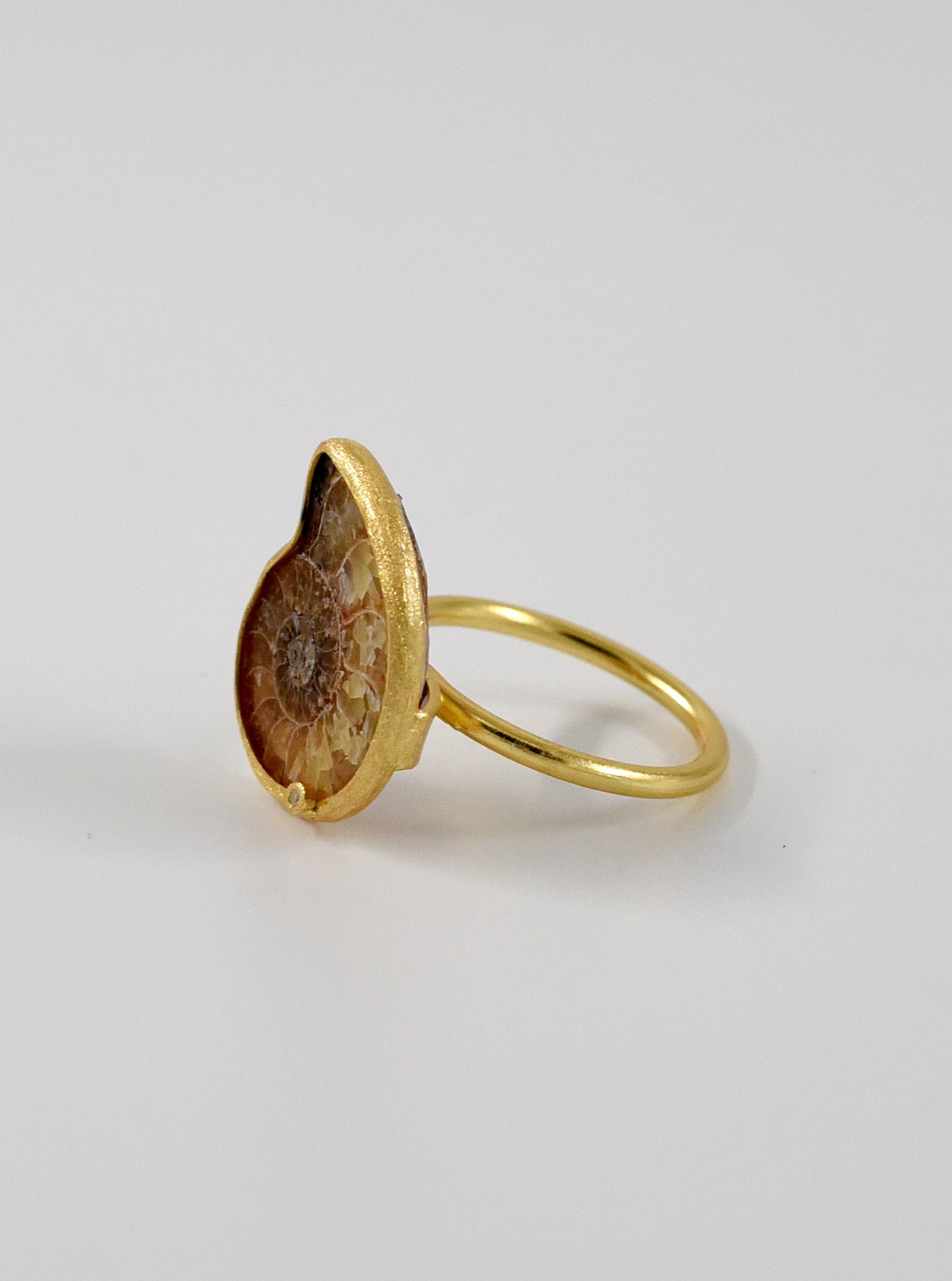 Ammonite with Diamond Adjustable Ring